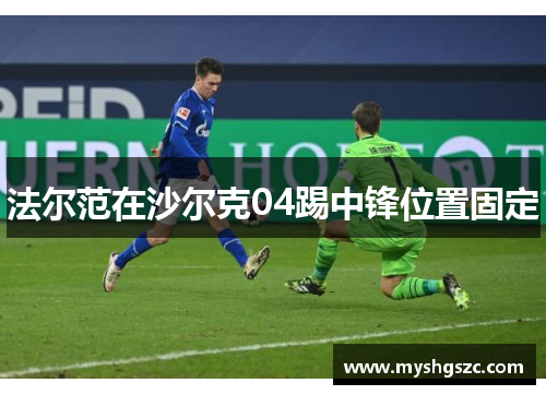 法尔范在沙尔克04踢中锋位置固定